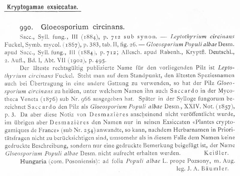 Gloeosporium circinans image
