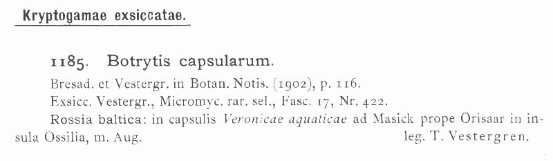 Botrytis capsularum image