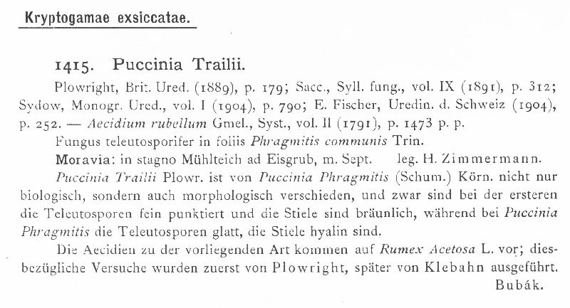 Puccinia phragmitis image