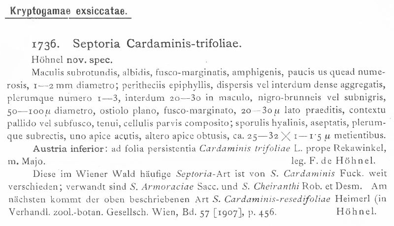 Septoria cardamines-trifoliae image