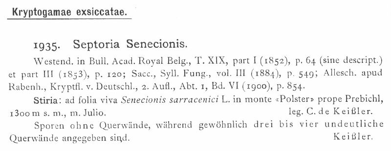 Septoria senecionis image
