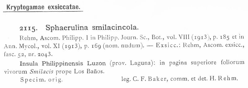 Sphaerulina smilacincola image
