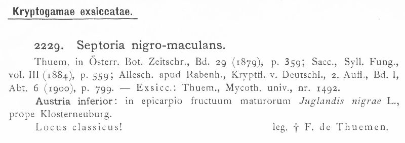 Septoria nigromaculans image