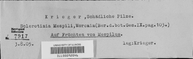 Monilinia mespili image