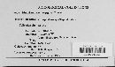Monoicomyces invisibilis image