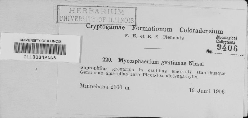 Mycosphaerella gentianae image