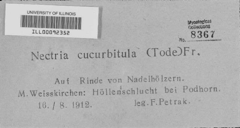 Neonectria image