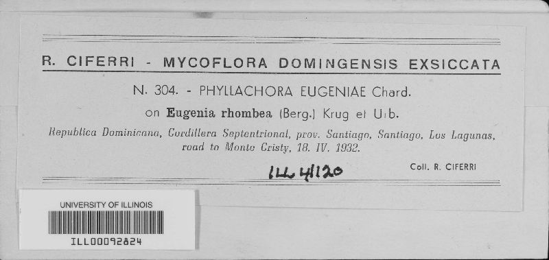 Phyllachora eugeniae image