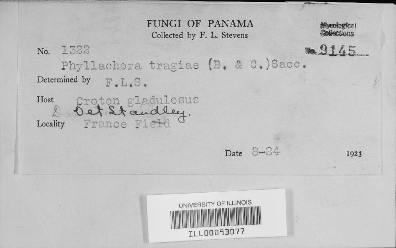 Phyllachora tragiae image
