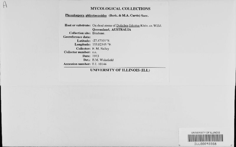 Physalospora phlyctaenoides image