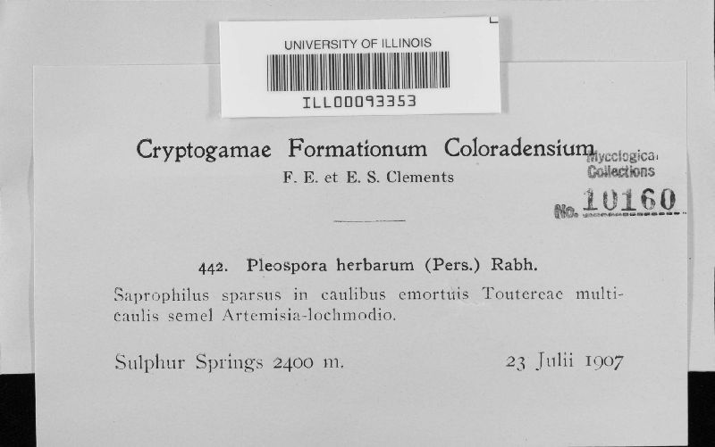 Pleospora herbarum image