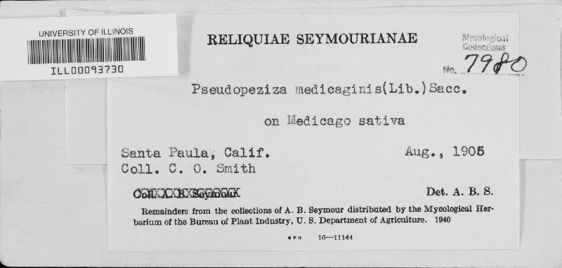 Pseudopeziza medicaginis image