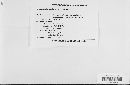 Pseudopeziza medicaginis image
