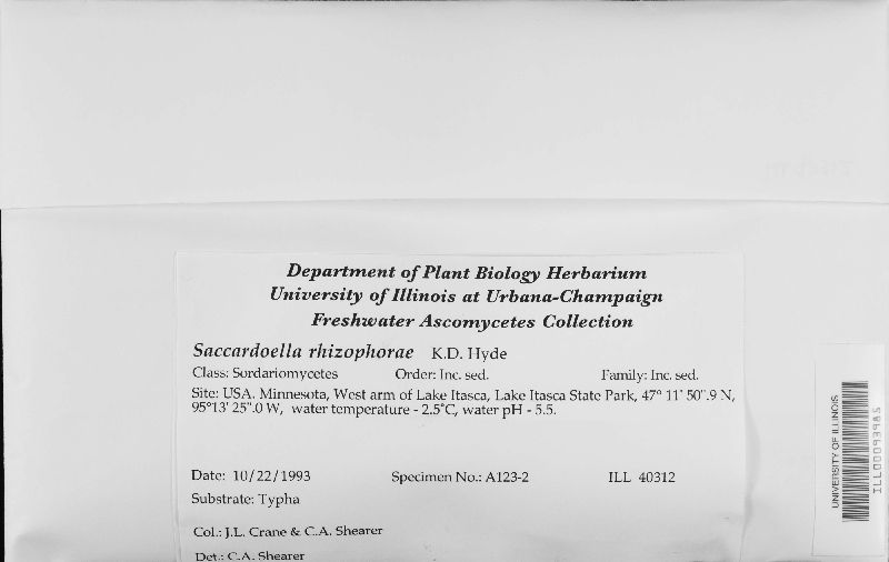 Saccardoella rhizophorae image