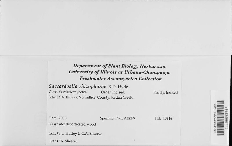 Saccardoella rhizophorae image