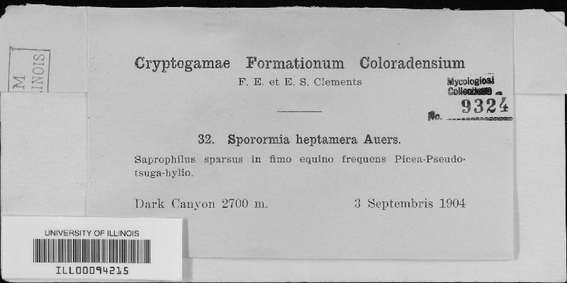 Sporormiella heptamera image