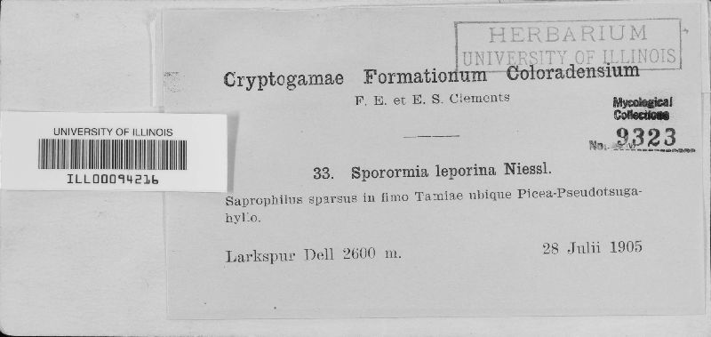 Sporormiaceae image