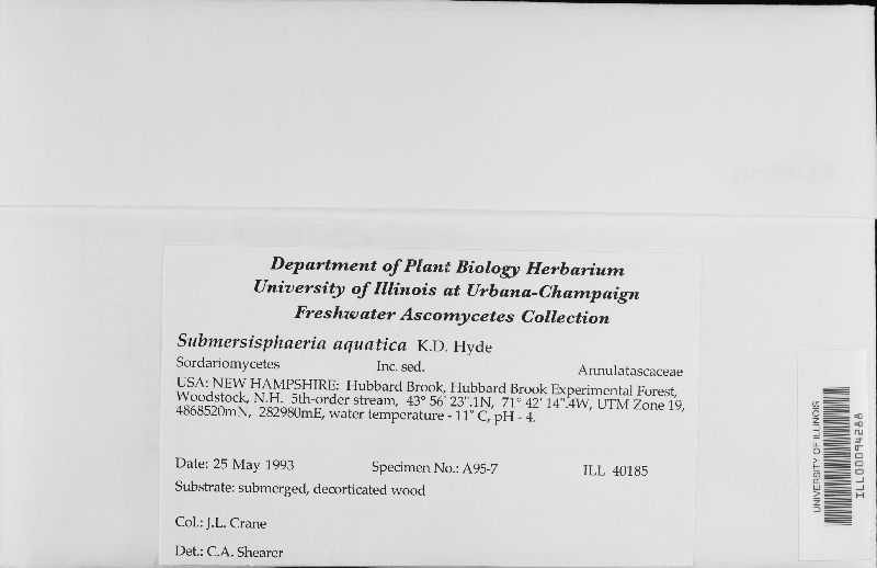 Submersisphaeria image