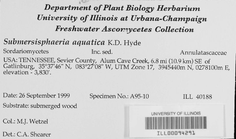 Submersisphaeria image