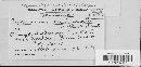 Taphrina deformans image