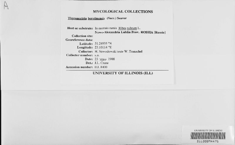 Thyronectria berolinensis image