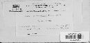 Venturia inaequalis image