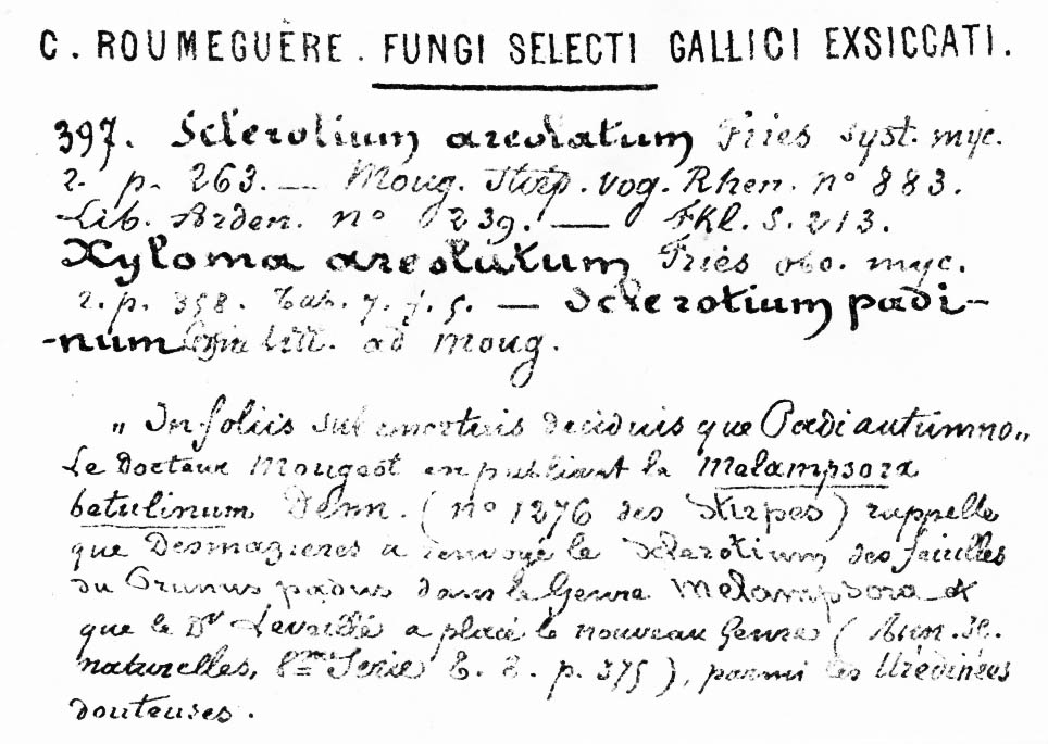 Sclerotium minutum image