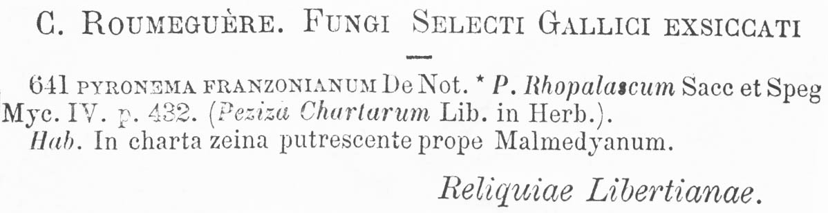 Pyronema franzonianum image