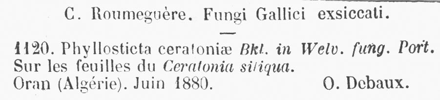 Phyllosticta ceratoniae image