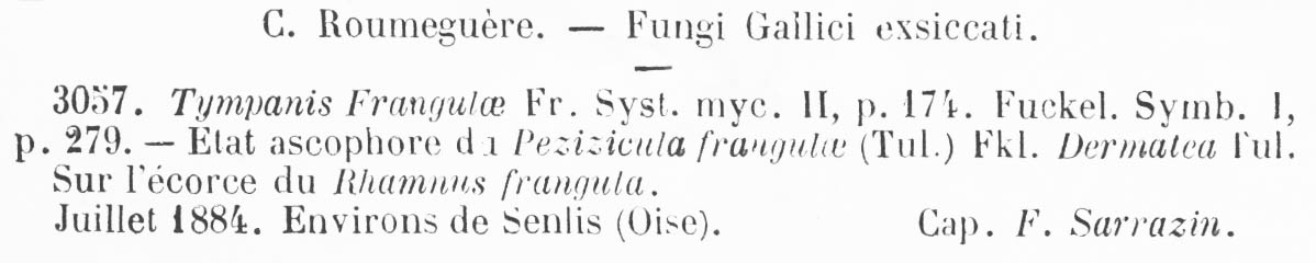 Pezicula frangulae image