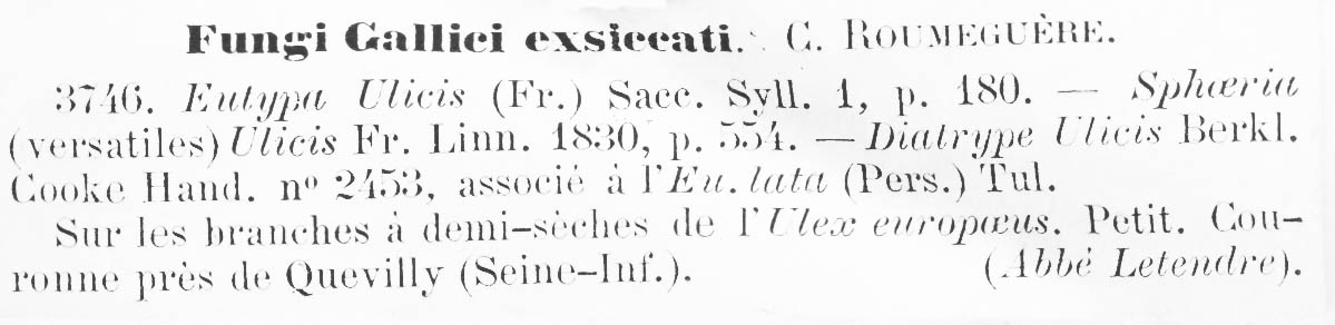 Eutypa ulicis image