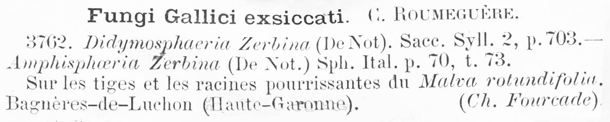 Didymosphaeria zerbina image