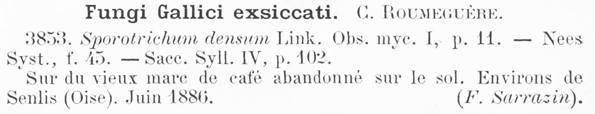 Botrytis densa image