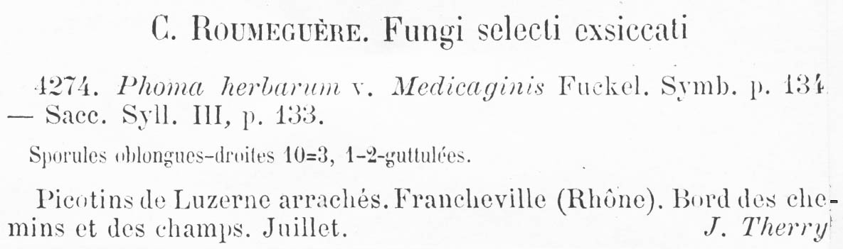 Phoma herbarum var. medicaginis image