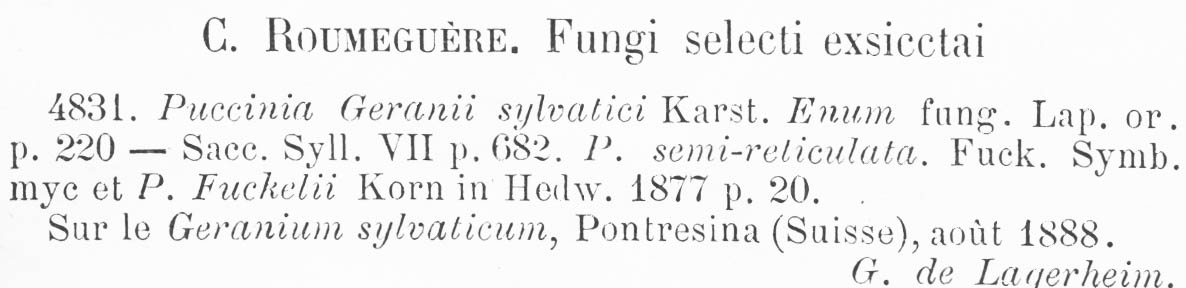Puccinia geranii-sylvatici image