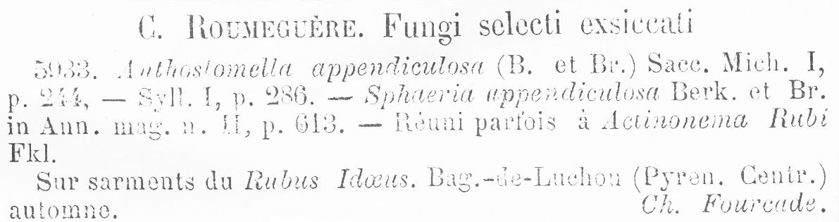 Anthostomella appendiculosa image