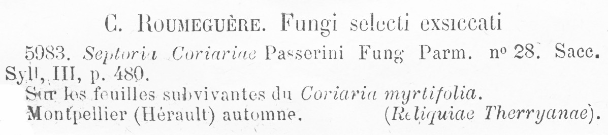 Septoria coriariae image