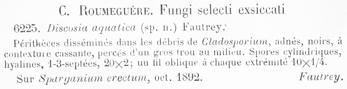 Discosia aquatica image