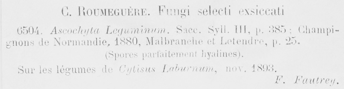 Ascochyta leguminum image