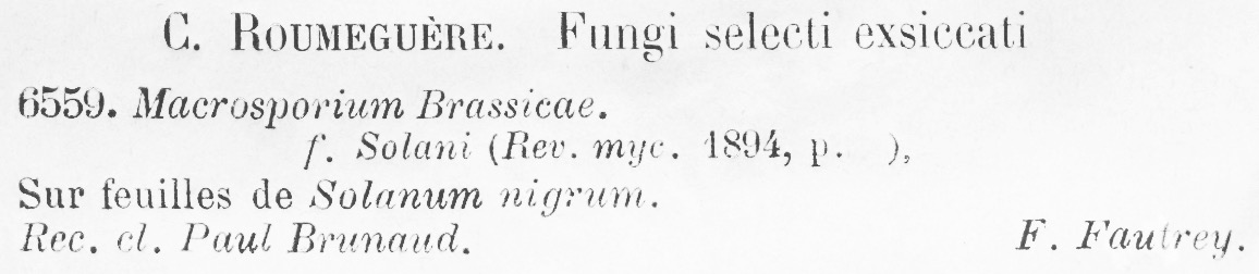 Macrosporium brassicae f. solani image