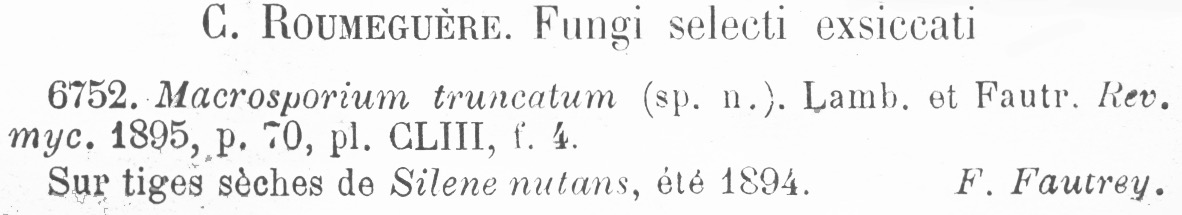 Macrosporium truncatum image