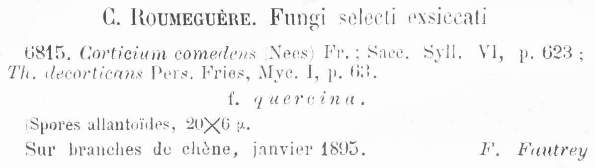 Vuilleminia comedens image