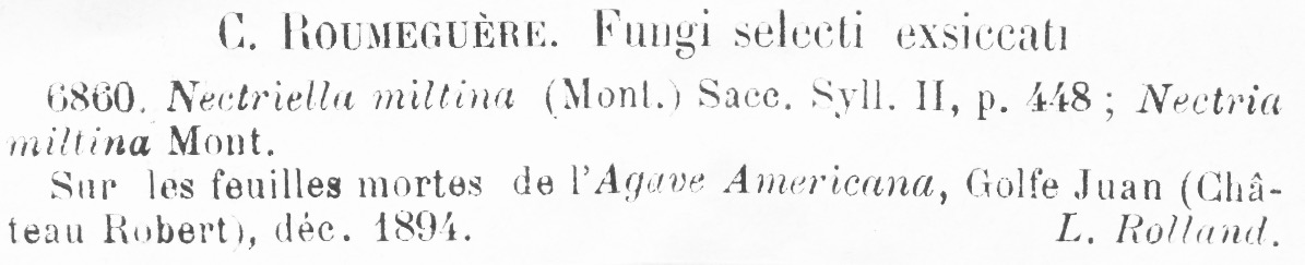 Allantonectria miltina image