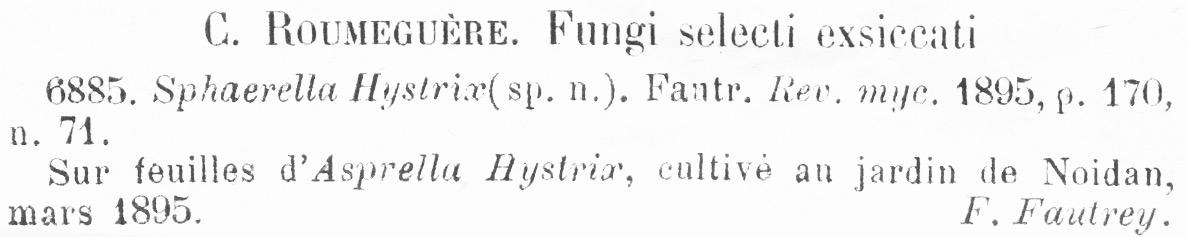 Sphaerella hystrix image