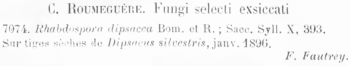 Rhabdospora image