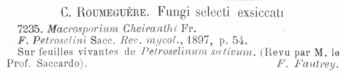 Macrosporium cheiranthi f. petroselini image