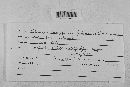 Talaromyces trachyspermus image