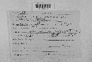 Taphrina deformans image