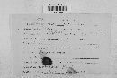 Venturia inaequalis image