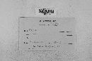 Venturia inaequalis image